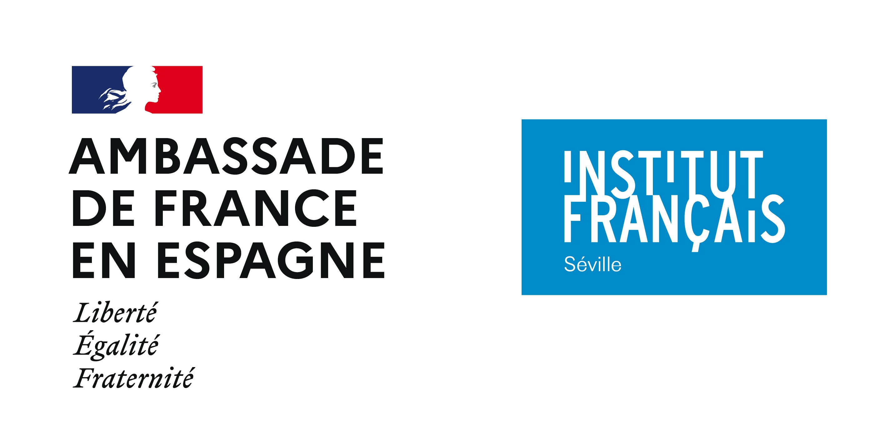 Institut français Double logo ambassade IFE IFS 9