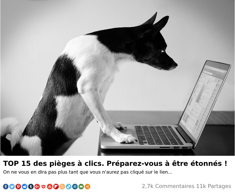 chien