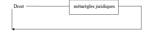 Le droit 5 systeme juridique2