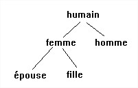Ll2 3 anal semique principes1