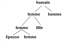 Ll2 3 anal semique principes2