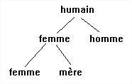 Ll2 3 anal semique principes3